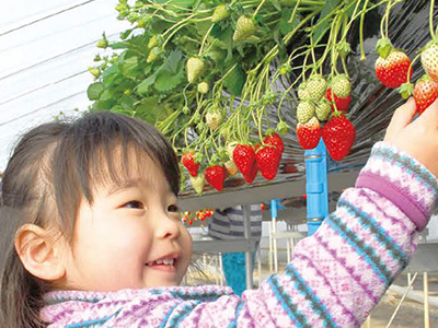 フルーツパーク